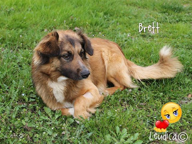 Buona vita Brett!